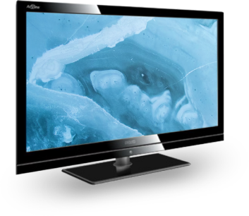 Фото телевизора